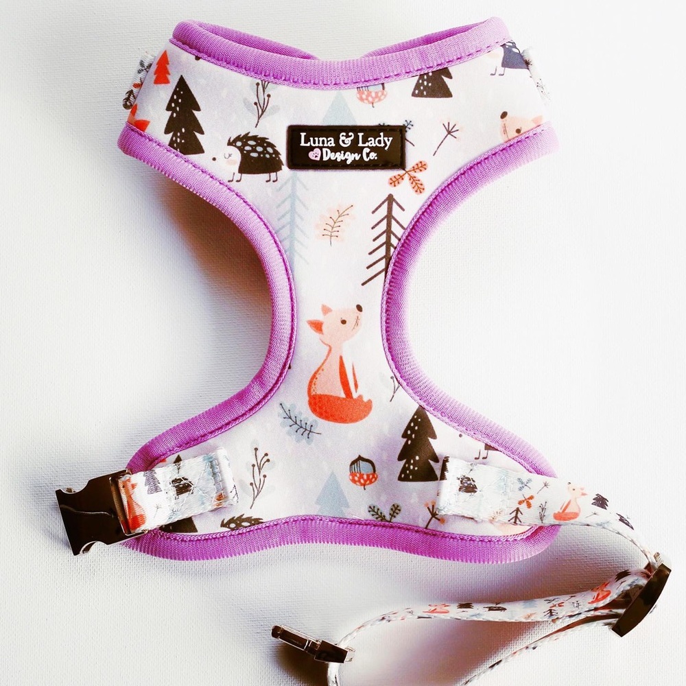 Luna & Lady Design Co Dog Harness